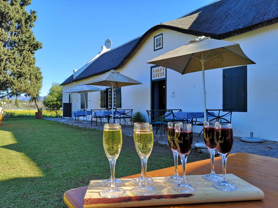 Cape Town: Winelands Wine Tour & Wine Tasting with Lunch - Returning to Cape Town after a full day