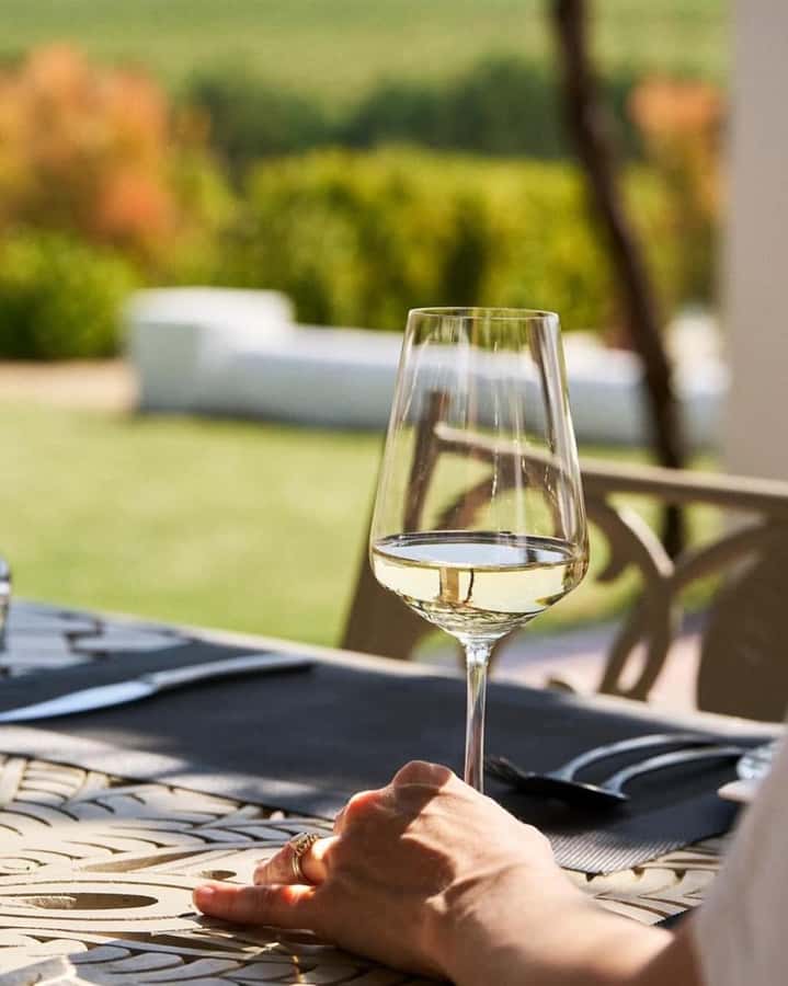 Cape Town: Winelands Wine Tour & Wine Tasting with Lunch - Who will enjoy this day most
