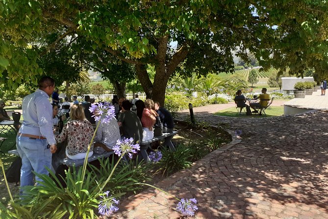 Cape Winelands and Wine Tasting Full Day Tour - Why this route works for a first Cape Winelands day