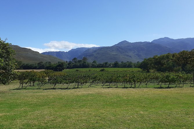 Cape Winelands and Wine Tasting Full Day Tour - Fairview: start with wine, cheese, and Paarl Valley views