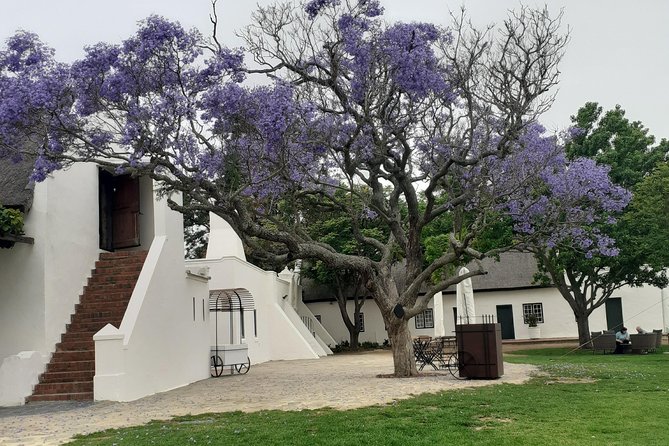 Cape Winelands and Wine Tasting Full Day Tour - Marianne Wine Estate: Stellenbosch wine with a local pairing