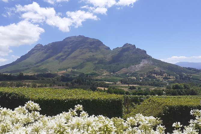 Cape Winelands and Wine Tasting Full Day Tour - The guide matters more than the printed route