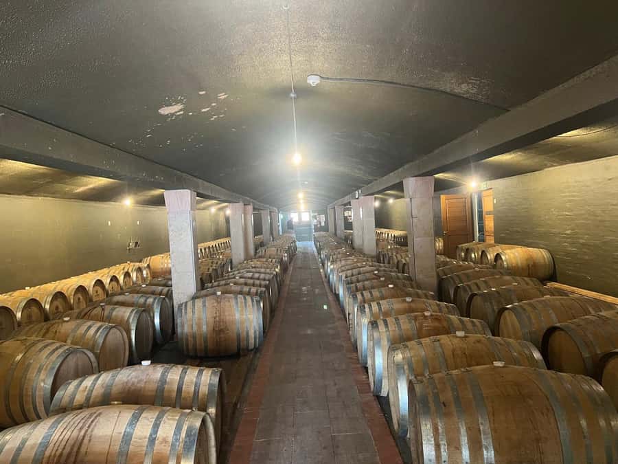 Cape Winelands Experience: Paarl, Stellenbosch & Franschhoek - Three Cape Winelands towns in one long day