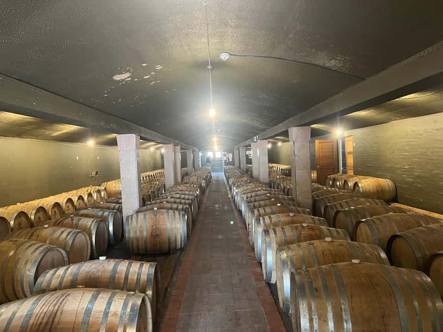Cape Winelands Experience: Paarl, Stellenbosch & Franschhoek - Franschhoek and the Huguenot story