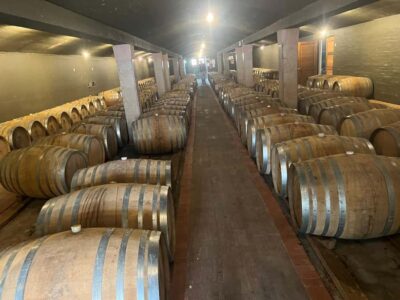 Cape Winelands Experience: Paarl, Stellenbosch & Franschhoek