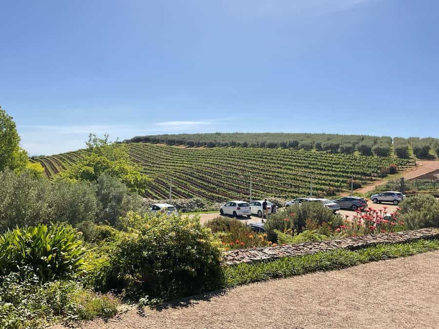 Cape Winelands Experience: Paarl, Stellenbosch & Franschhoek - What the private vehicle changes