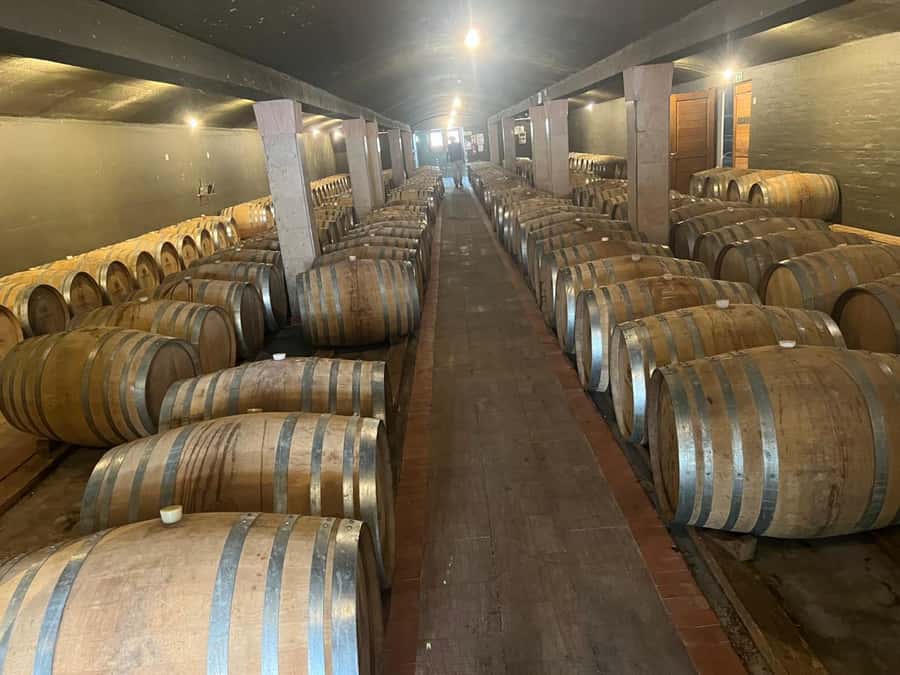 Cape Winelands Experience: Paarl, Stellenbosch & Franschhoek - A short stop tied to Nelson Mandela