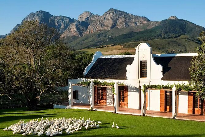 Cape Winelands Explore Full Day Tour with Private Transfer - Price, timing, and who gets good value