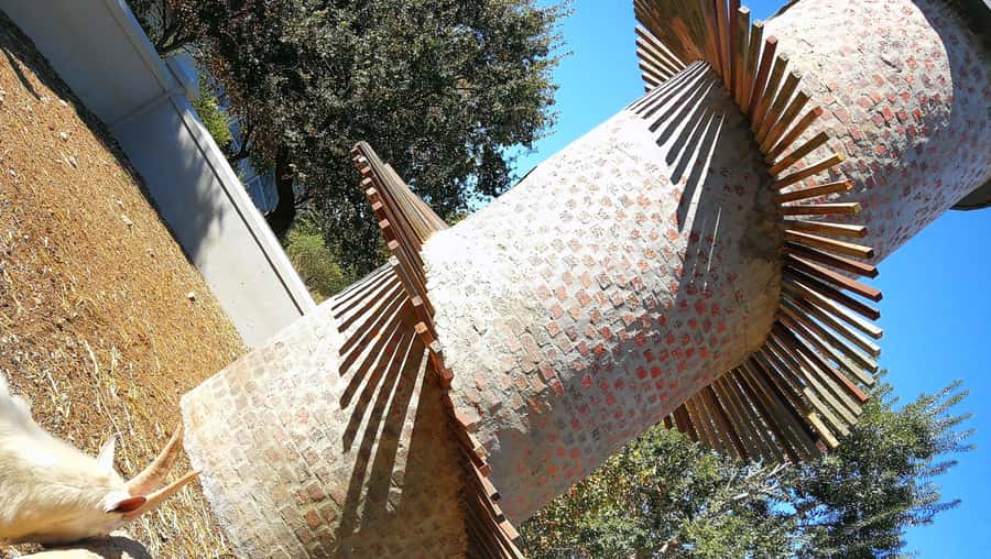 Cape Winelands Family Tour & Wildlife Encounter - Key points to know before booking
