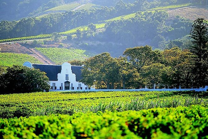 Cape Winelands in Stellenbosch and Franschhoek Private Tour - Stellenbosch vineyards and Cape Dutch streets