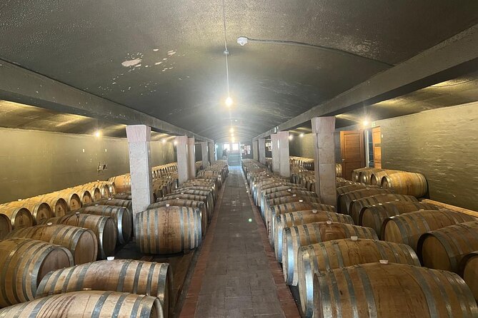 Cape Winelands in Stellenbosch and Franschhoek Private Tour - Who should book this Winelands tour?