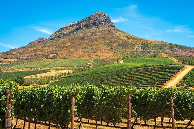 Cape Winelands in Stellenbosch and Franschhoek Private Tour - What three hours in Stellenbosch really gives you