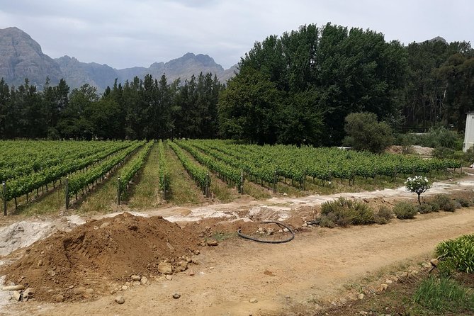 Cape Winelands Stellenbosch Franschhoek Paarl Tour from Cape Town - Stellenbosch: old streets and Cape Dutch detail