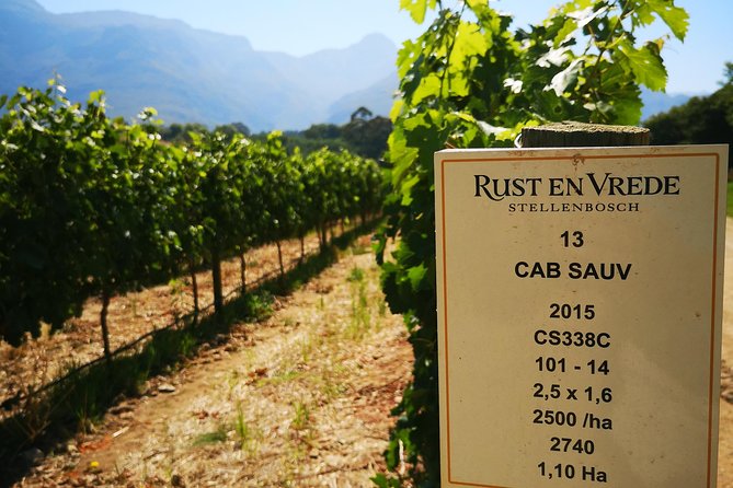 Cape Winelands Stellenbosch Franschhoek Paarl Tour from Cape Town - What the winery visits are really like