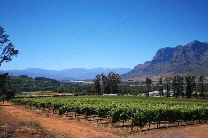 Cape Winelands Stellenbosch Franschhoek Paarl Tour from Cape Town - Lunch, timing, and the real cost