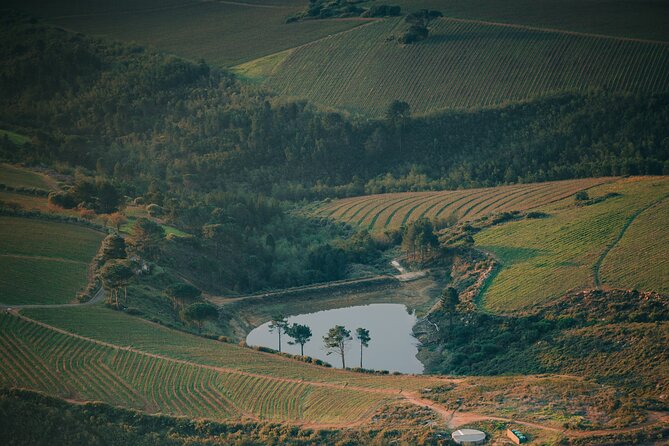 Cape Winelands Tour - Language and guide expectations