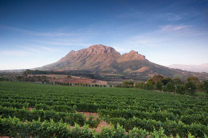 Cape Winelands Tour - Who will enjoy this route most?