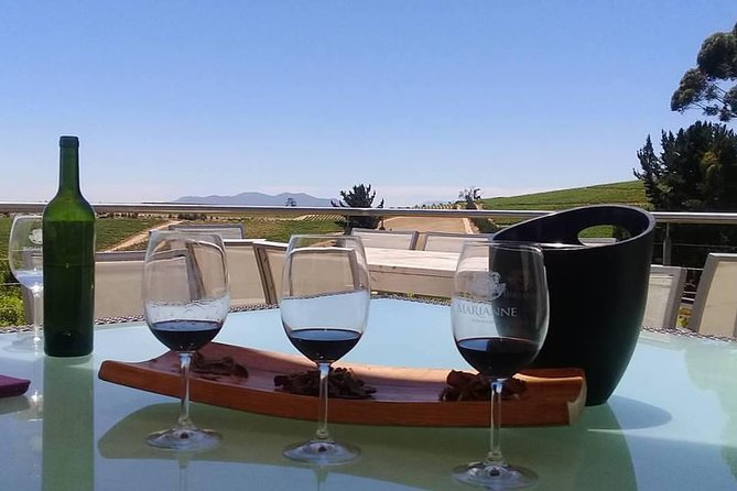 Cape Winelands Wine Tour (Cape To Grape Wine Tours) - Marianne brings biltong into the pairing