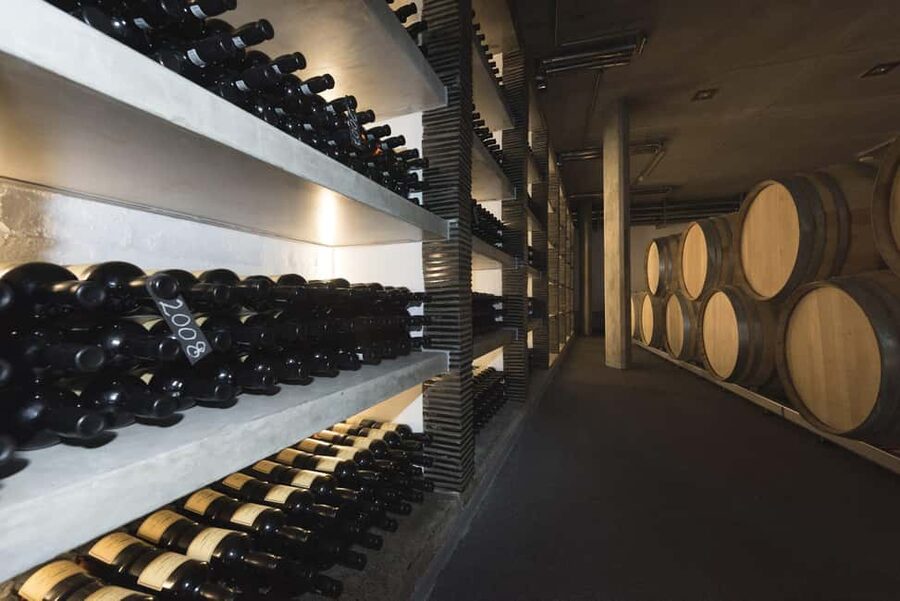 Capetown Private Wine Tour: Manor tour, cellar tour included - Who will enjoy this day most