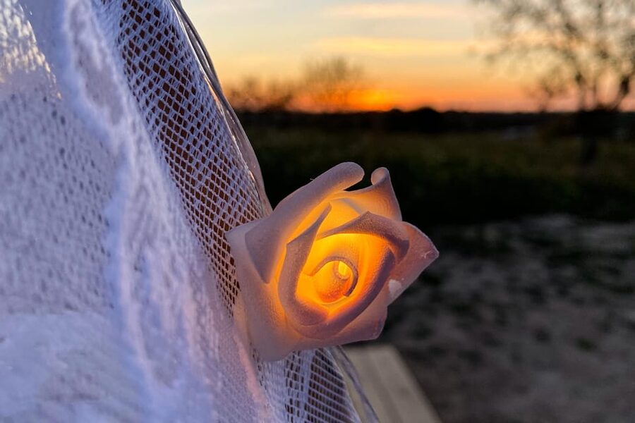 Carvoeiro, Portimão, Lagos: Algarve Romantic Vineyard Picnic - Key points to know before you book