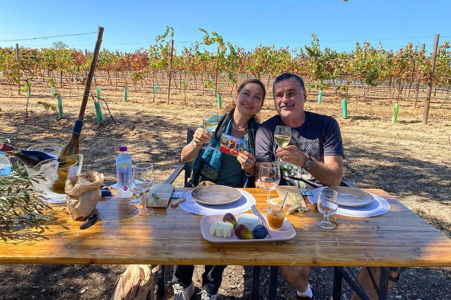 Carvoeiro, Portimão, Lagos: Algarve Romantic Vineyard Picnic - The 20-minute vineyard and winery visit