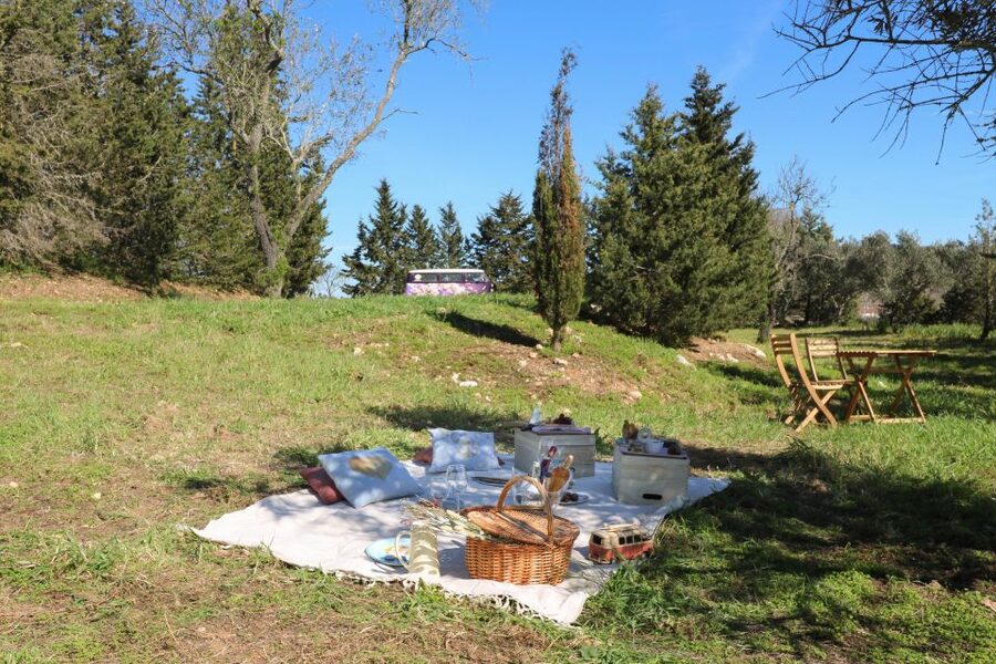 Carvoeiro, Portimão, Lagos: Algarve Romantic Vineyard Picnic - Who will enjoy this most