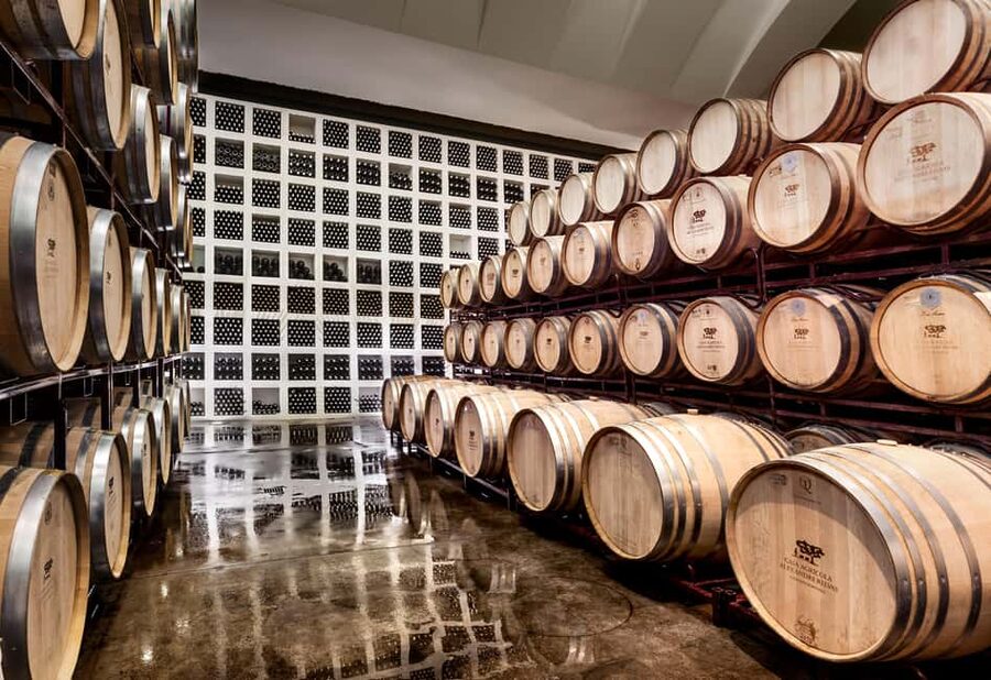 Casa Relvas, Évora - Visit to the Winery with Tasting of Portuguese Grape Varieties and Tapas - From grape reception to fermentation tanks