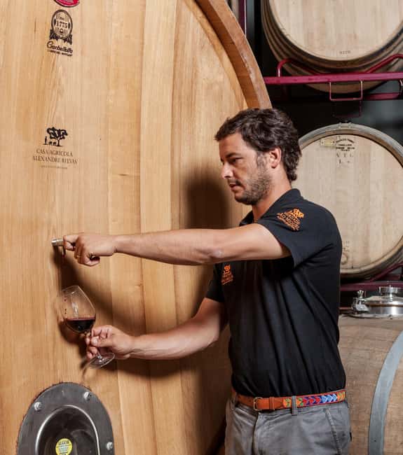 Casa Relvas, Évora - Visit to the Winery with Tasting of Portuguese Grape Varieties and Tapas - Five single-varietal wines at the tasting table