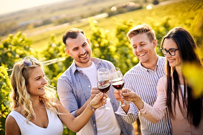 Casablanca world class wines, 4 vineyards & Tanino lunch stop - Key points at a glance