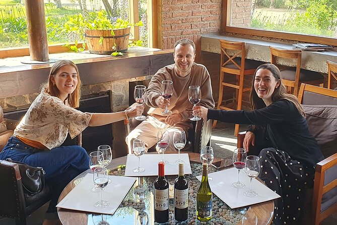 Casablanca world class wines, 4 vineyards & Tanino lunch stop - Bodegas RE: the most experimental stop