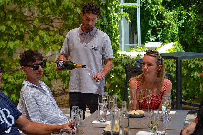 Casablanca world class wines, 4 vineyards & Tanino lunch stop - Guides, drivers, and the long road between stops