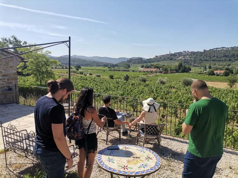 Cassis, Bandol, Le Castellet wine tour: Cliffs and Vineyards - Tasting Provence wine near Cassis