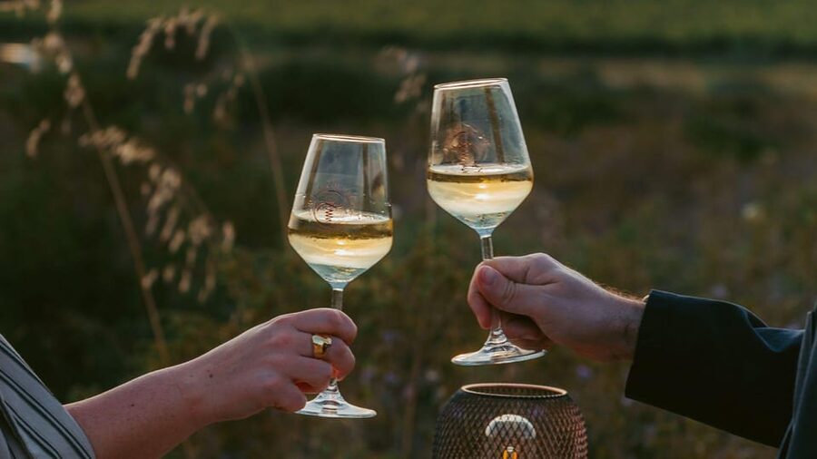 Castelsardo: visit a vineyard with wine tasting at sunset - Three glasses, two grape varieties