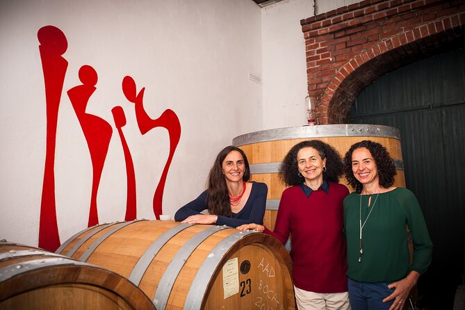 Castle Winery Tour & Tasting near Lake Maggiore - Key points at a glance