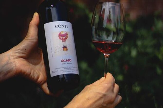 Castle Winery Tour & Tasting near Lake Maggiore - Why this castle winery is different