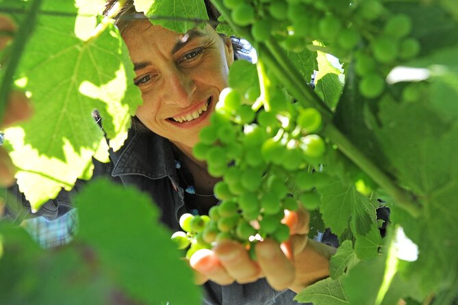 Castle Winery Tour & Tasting near Lake Maggiore - The 25-minute visit through the Conti winery