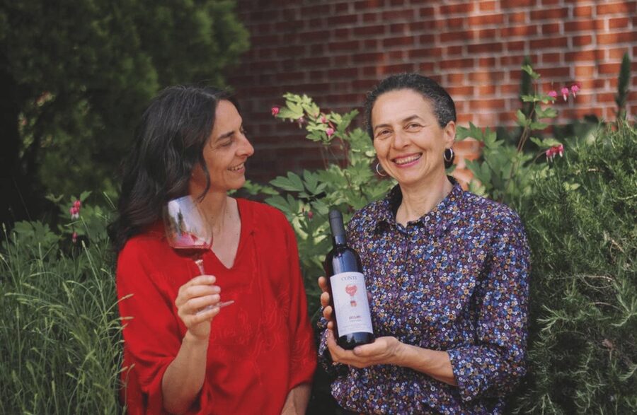 Castle Winery Tour & Tasting near Lake Maggiore - Should you book the Conti castle winery?
