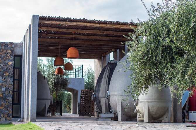 Catena Zapata Winery, Lunch and Private Transportation - Why this pairing works in Mendoza