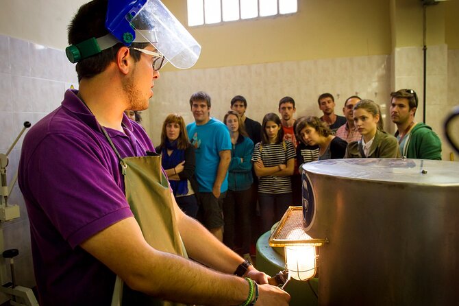 Cava Making Experience at the Local Winery in Barcelona - Key points at a glance