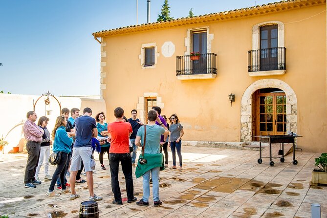 Cava Making Experience at the Local Winery in Barcelona - Who will enjoy this half-day outing