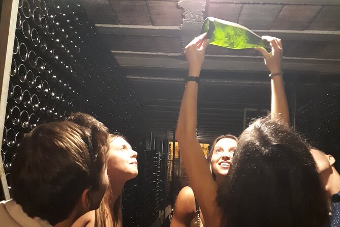 Cava tour to 3 family wineries with hotel pick-up - Key points to know before booking