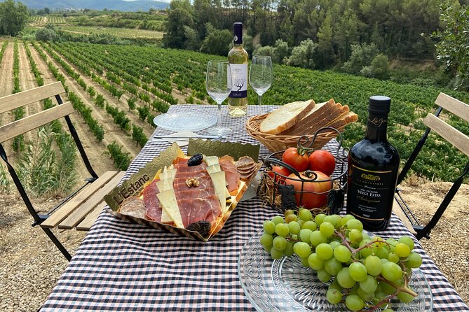 Cava tour to 3 family wineries with hotel pick-up - Small group size and the guide’s role