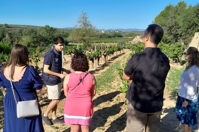 Cava tour to 3 family wineries with hotel pick-up - Price, timing, and what you receive for $211.72