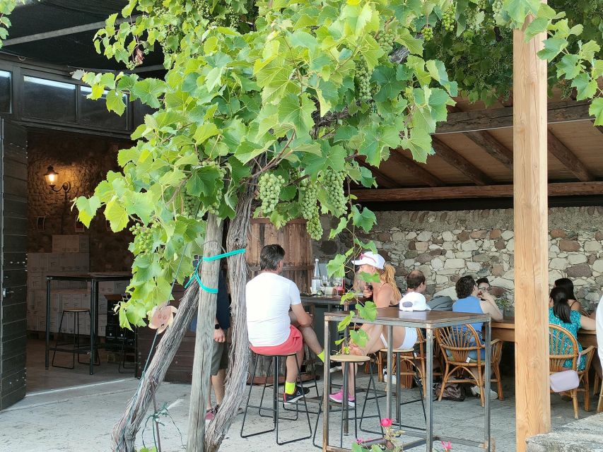 Cavaion: Lake Garda Wine & Food Tasting with Vineyard Tour - Key points at a glance