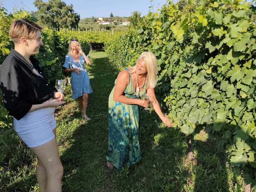 Cavaion: Lake Garda Wine & Food Tasting with Vineyard Tour - A working vineyard in the hills near Garda