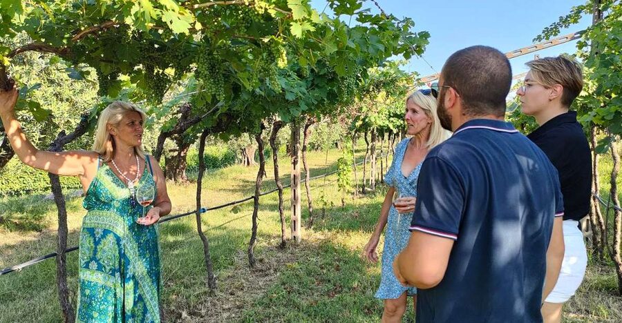Cavaion: Lake Garda Wine & Food Tasting with Vineyard Tour - Choosing between three and five wines