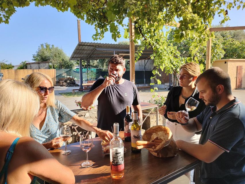 Cavaion: Lake Garda Wine & Food Tasting with Vineyard Tour - The farm shop adds a useful final stop