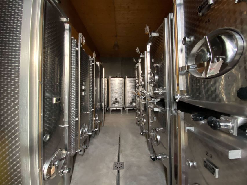 Cellar visit and Alsace wine tasting with a feminine touch - Touring the cellar and winery facilities