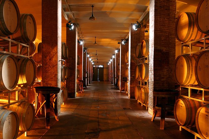 Cellar Wine Tour - A Historic Estate in Carmignano, Not Central Florence