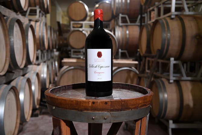 Cellar Wine Tour - The Rose Garden Starts the Visit Gently